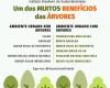 Um dos muitos benefícios das árvores