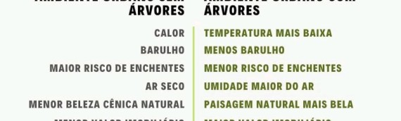 Um dos muitos benefícios das árvores